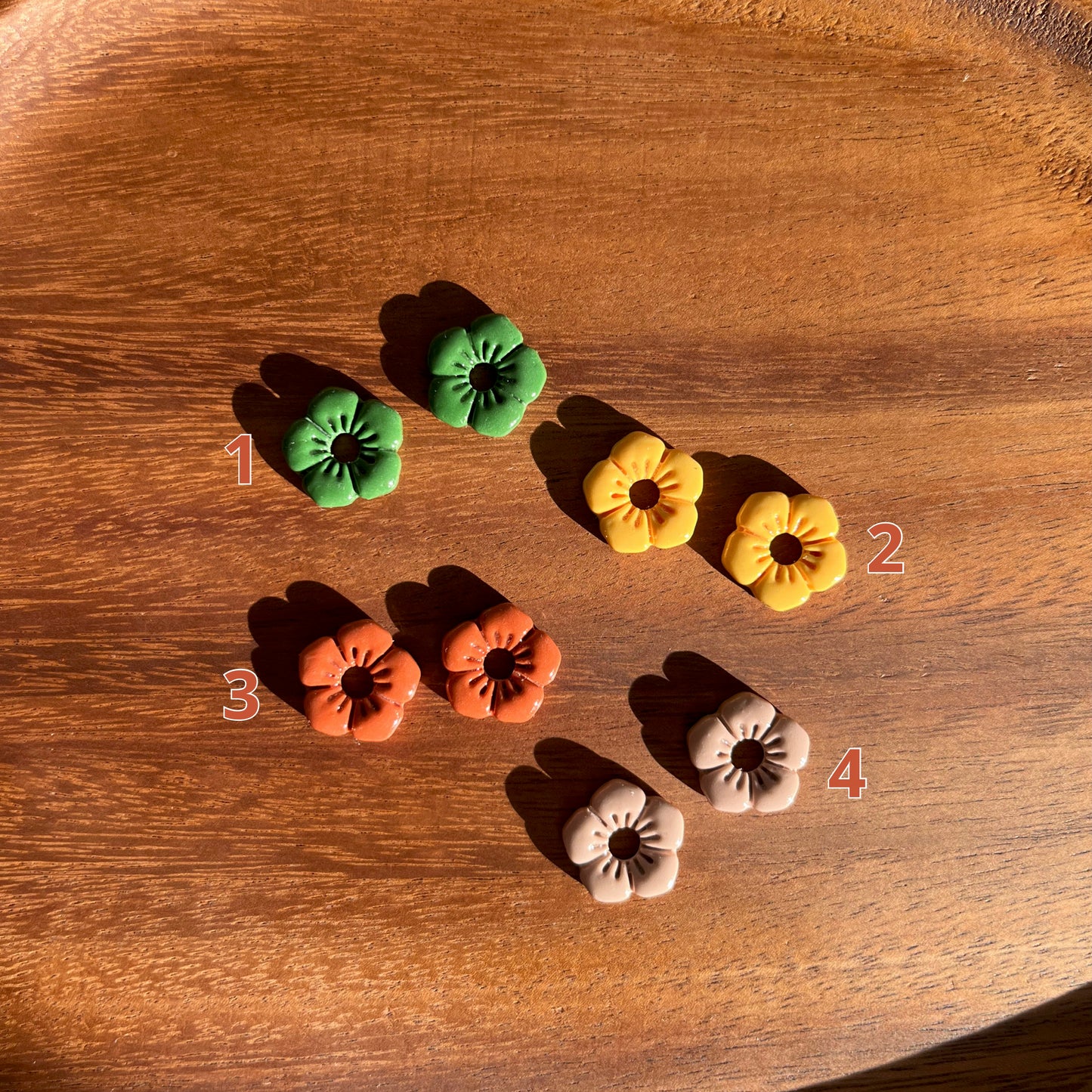 Pampilles Anémone unies - automne