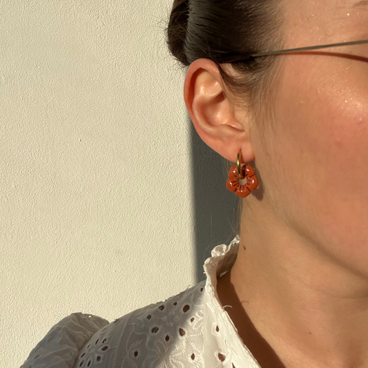 Pampilles Anémone unies - automne