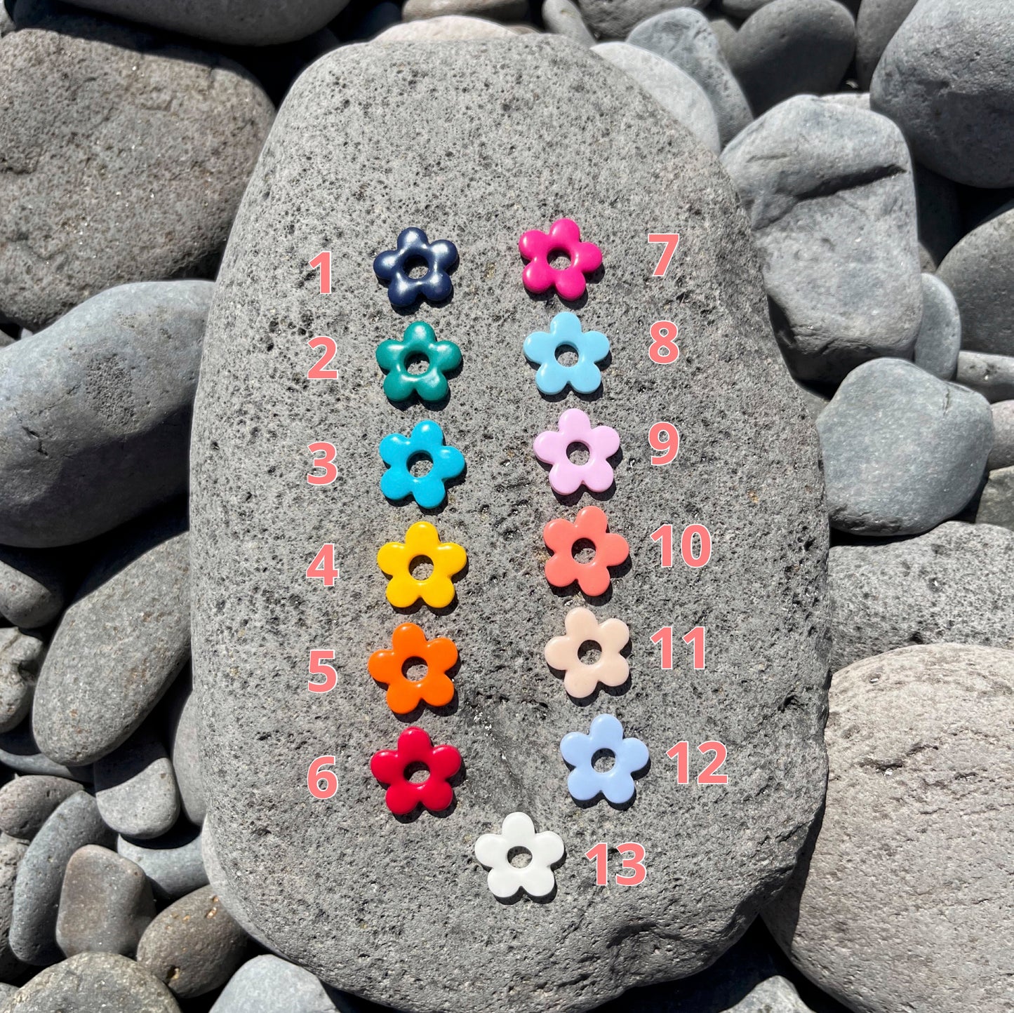 Pampilles Iris unies