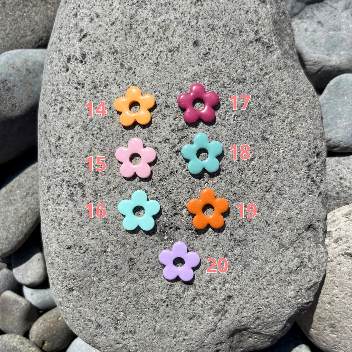 Pampilles Iris unies