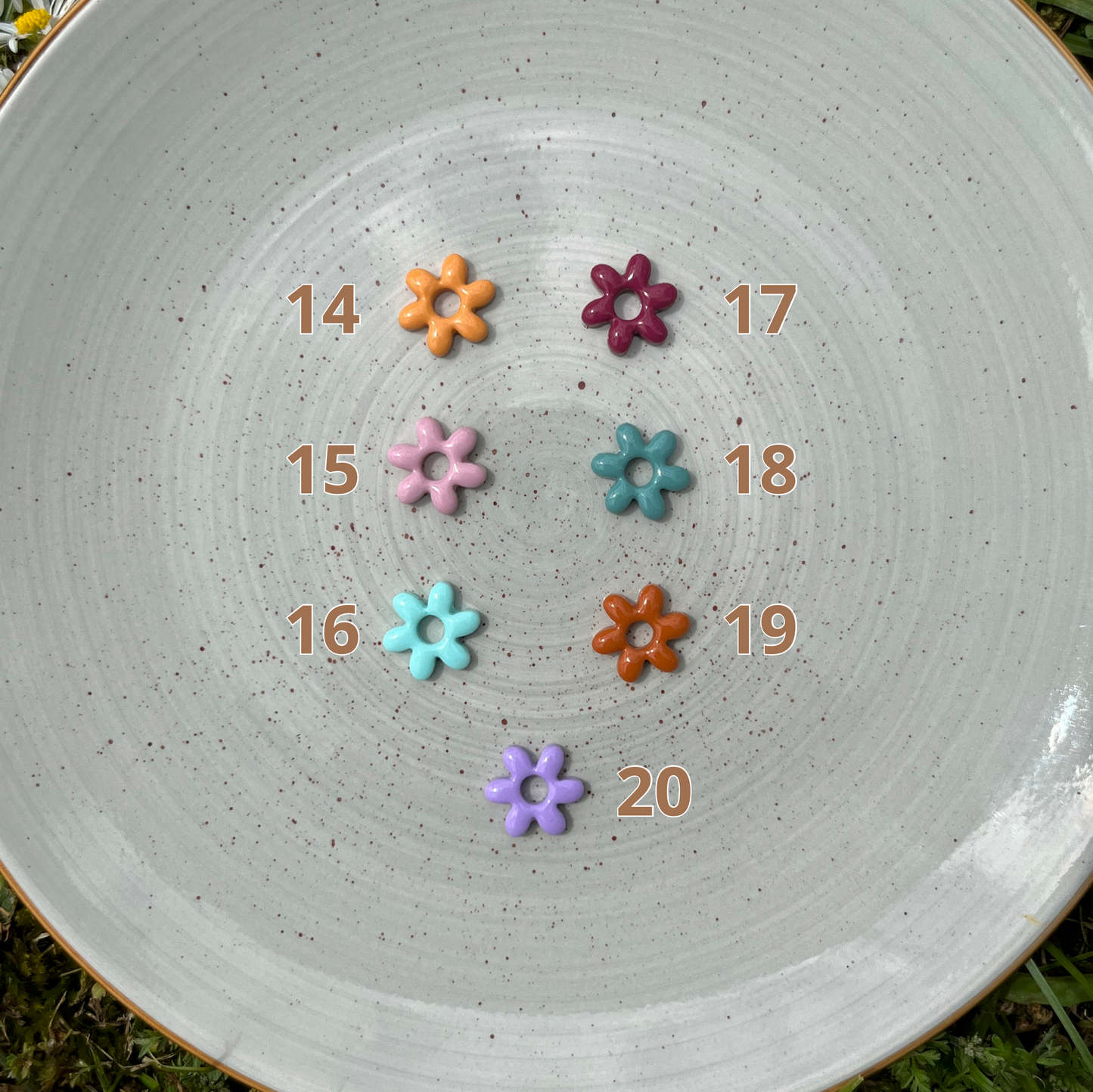 Pampilles Lilas unies