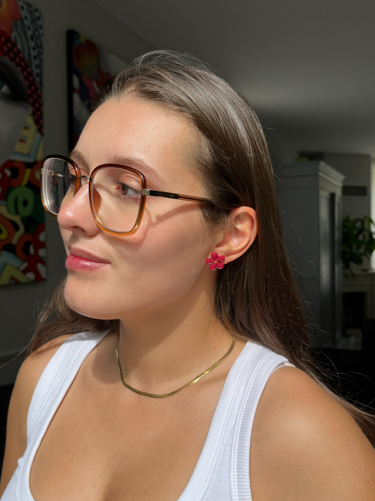 Puces d'oreilles