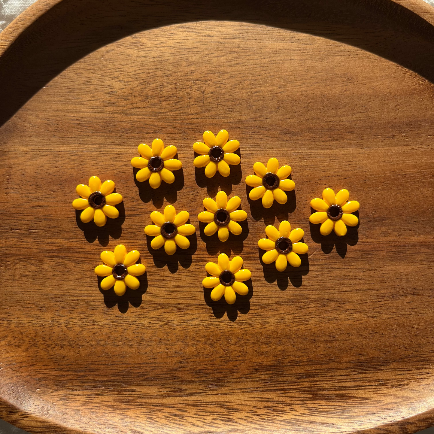 Pampilles Tournesol